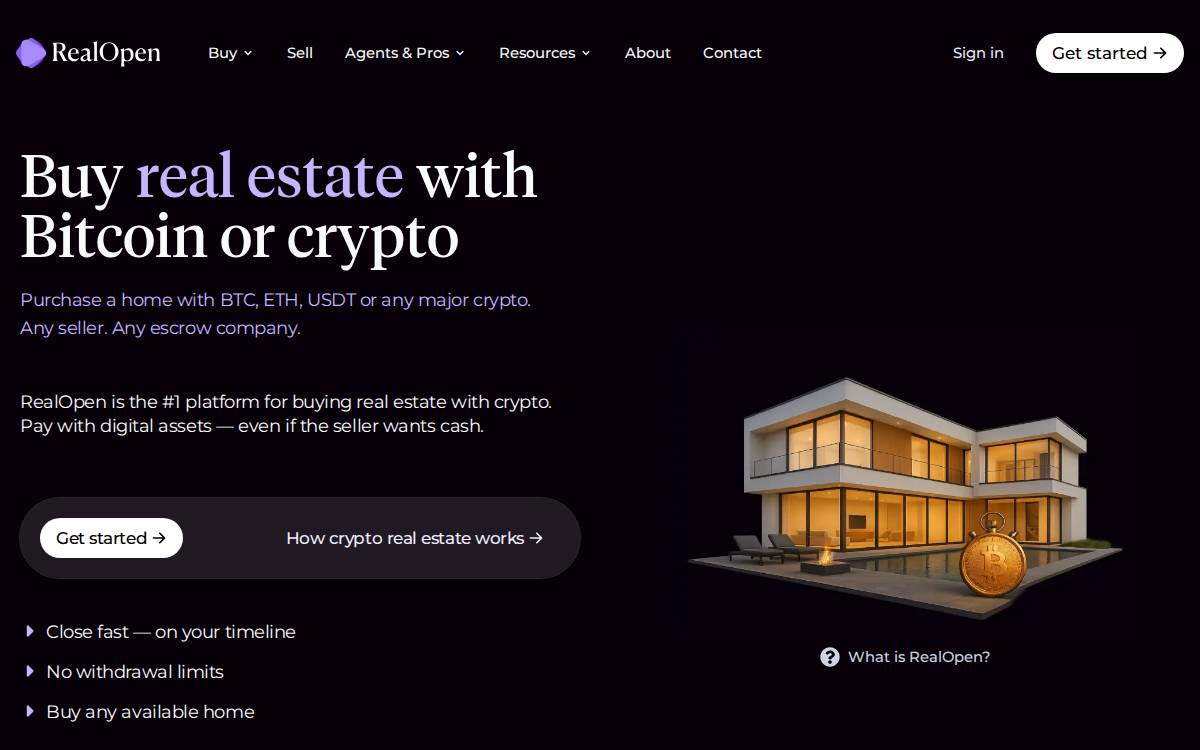 RealOpen website preview