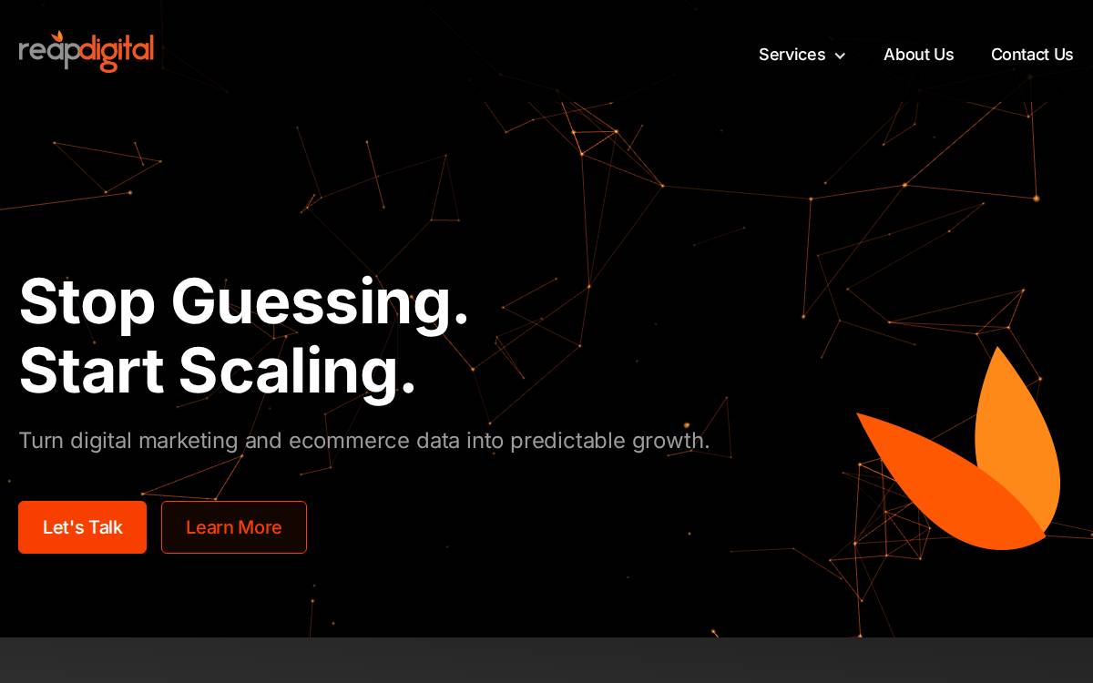 Reapdigital website preview