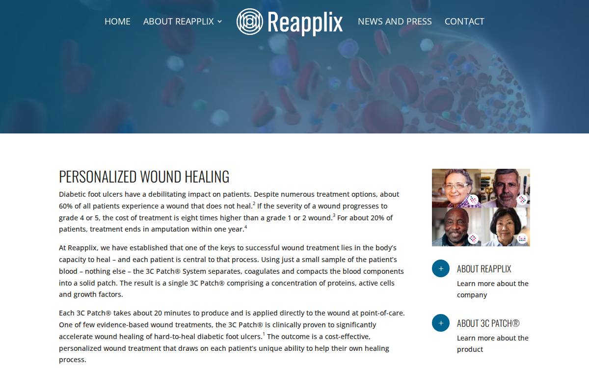 Reapplix website preview