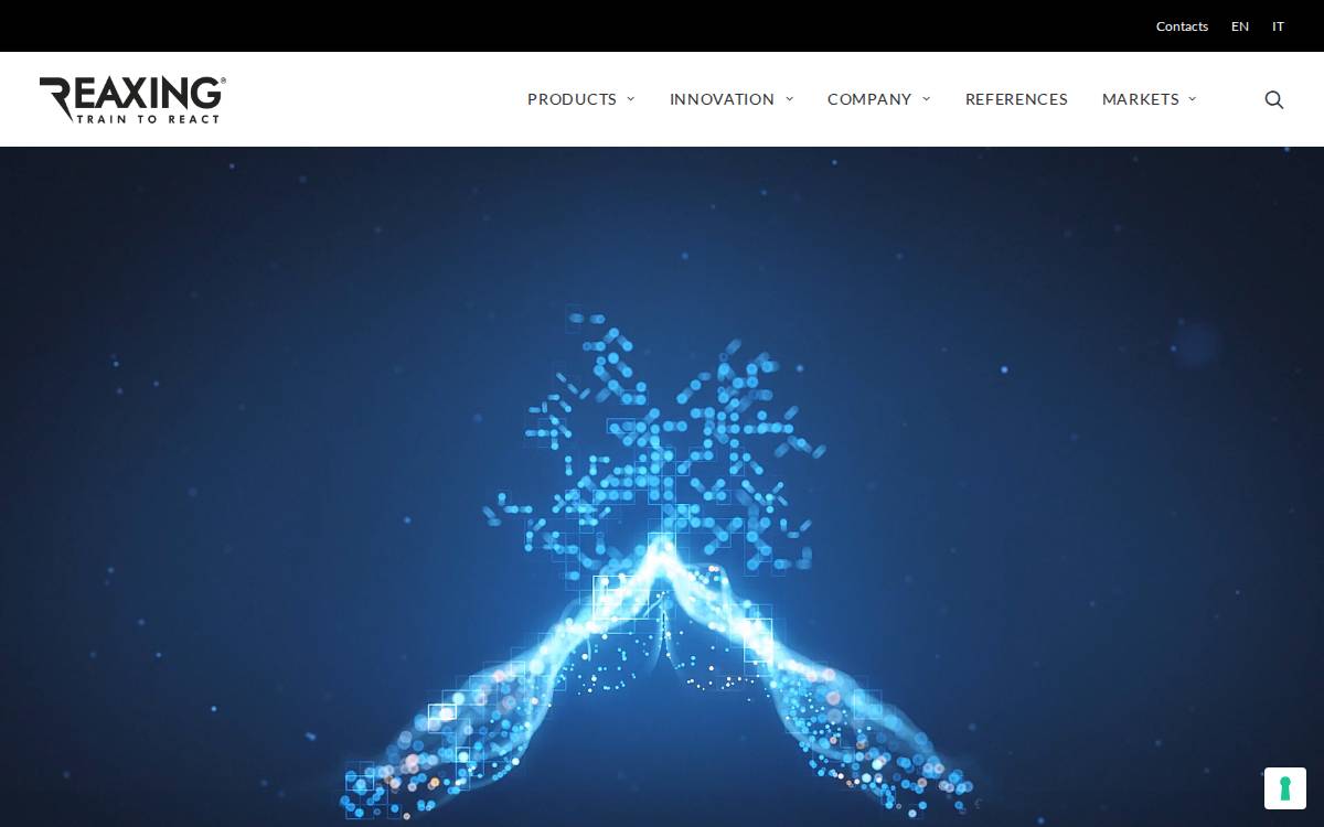 Reaxing website preview