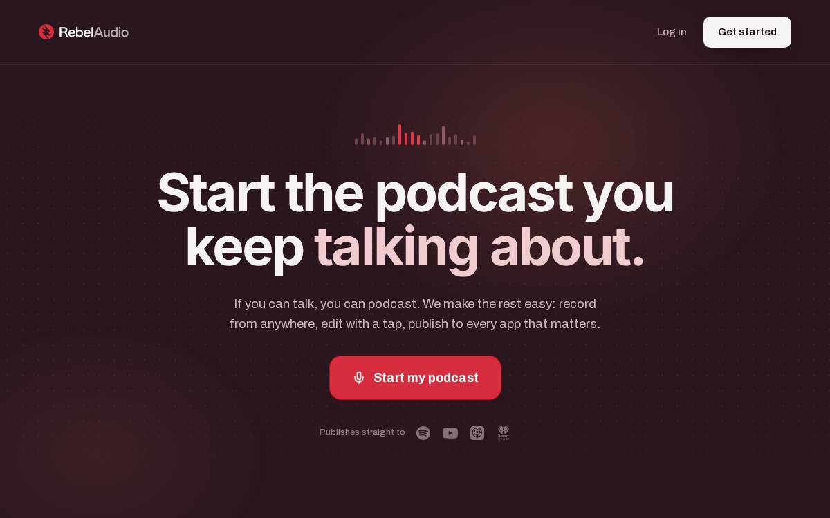 Rebel Audio website preview