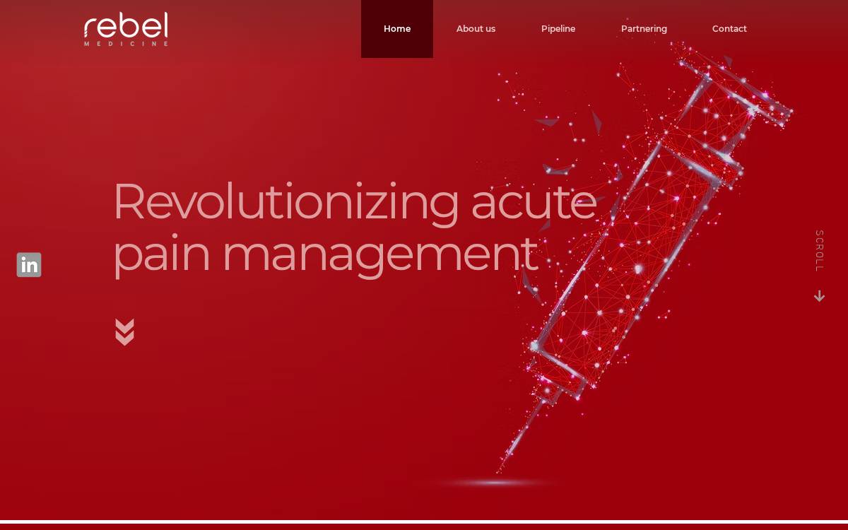 Rebel Medicine website preview
