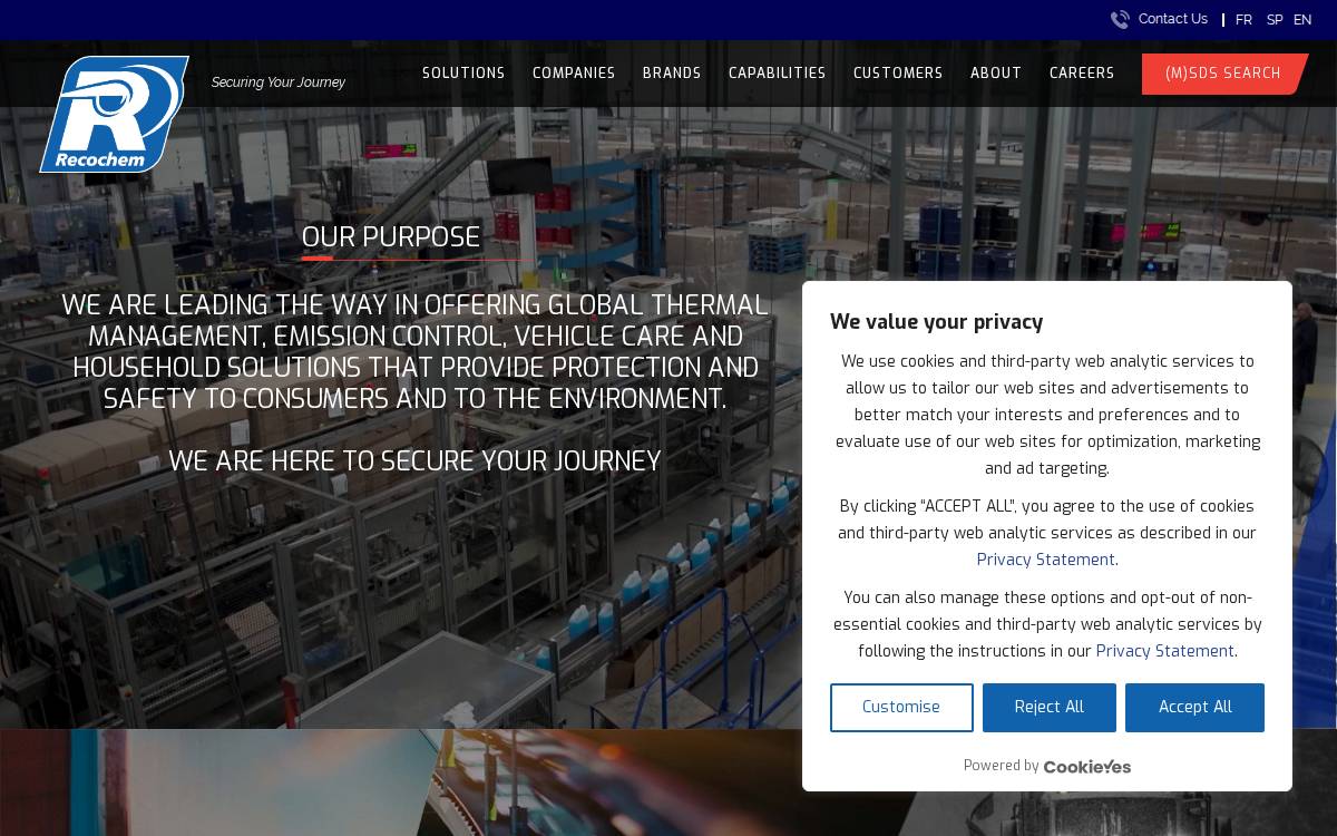 Recochem website preview