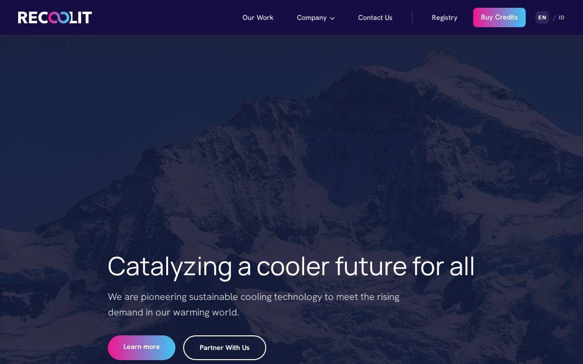 Recoolit website preview
