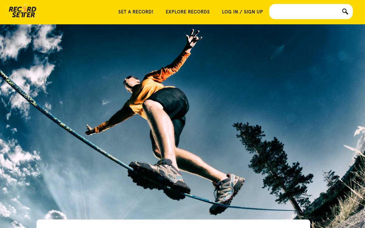 RecordSetter website preview
