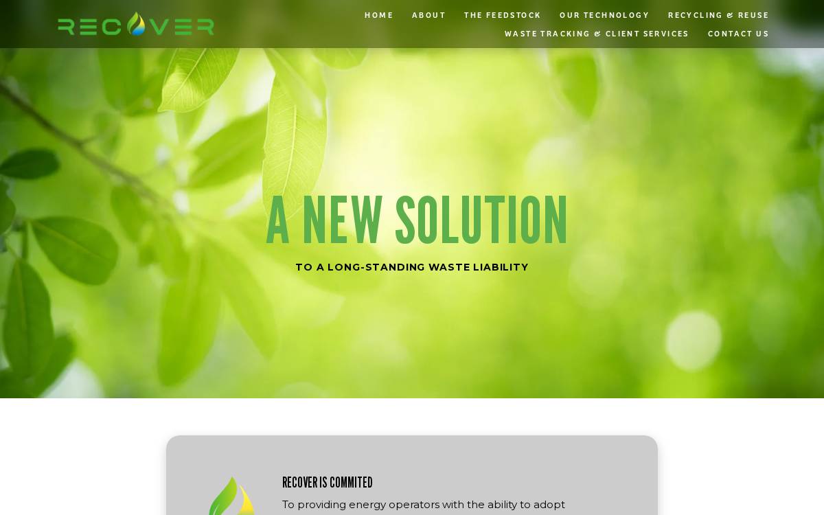 Recover website preview