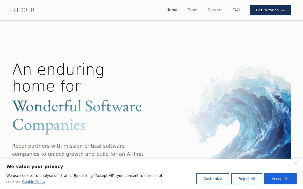 Recursoftware website preview