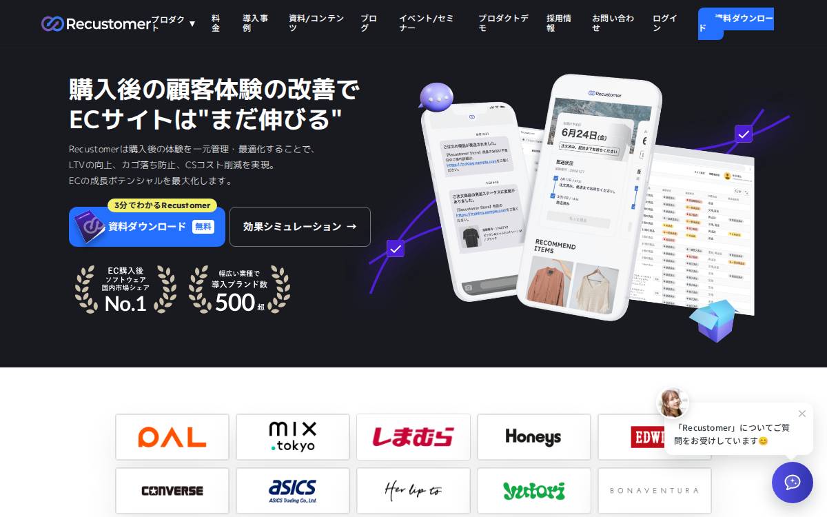 Recustomer website preview