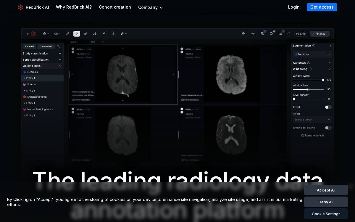 RedBrick AI website preview