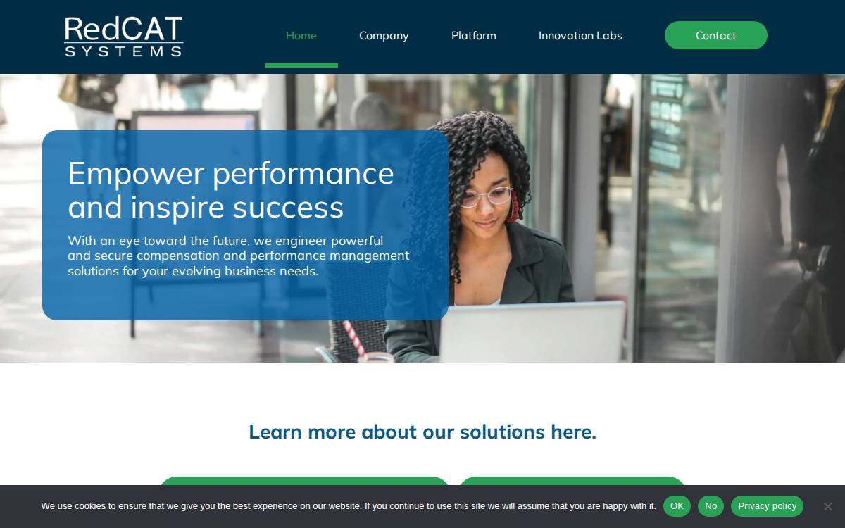 Redcat Systems website preview
