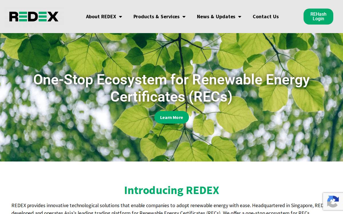 REDEX Group website preview