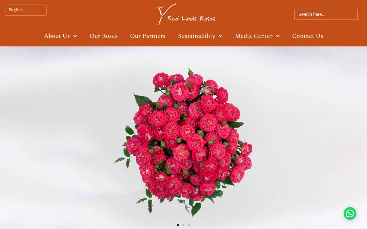 Redland Roses website preview