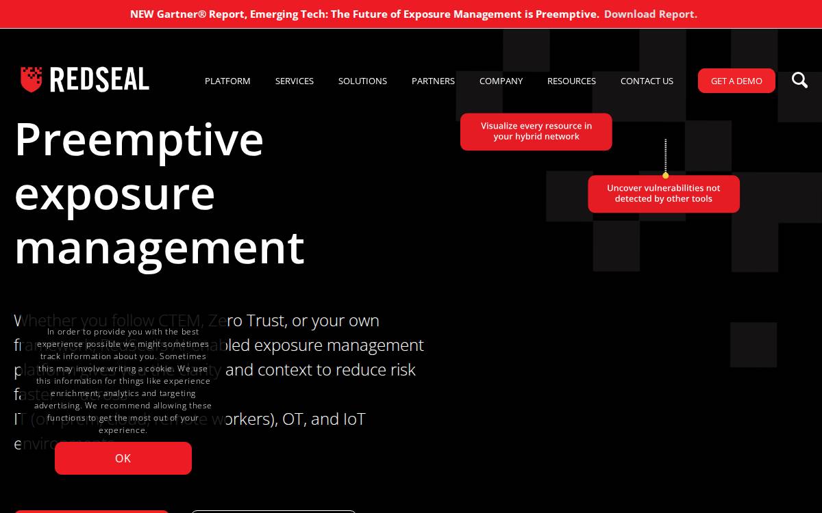 Redseal website preview