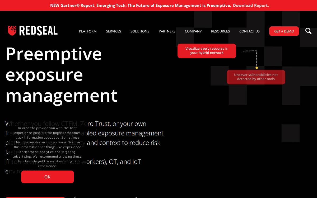 RedSeal website preview