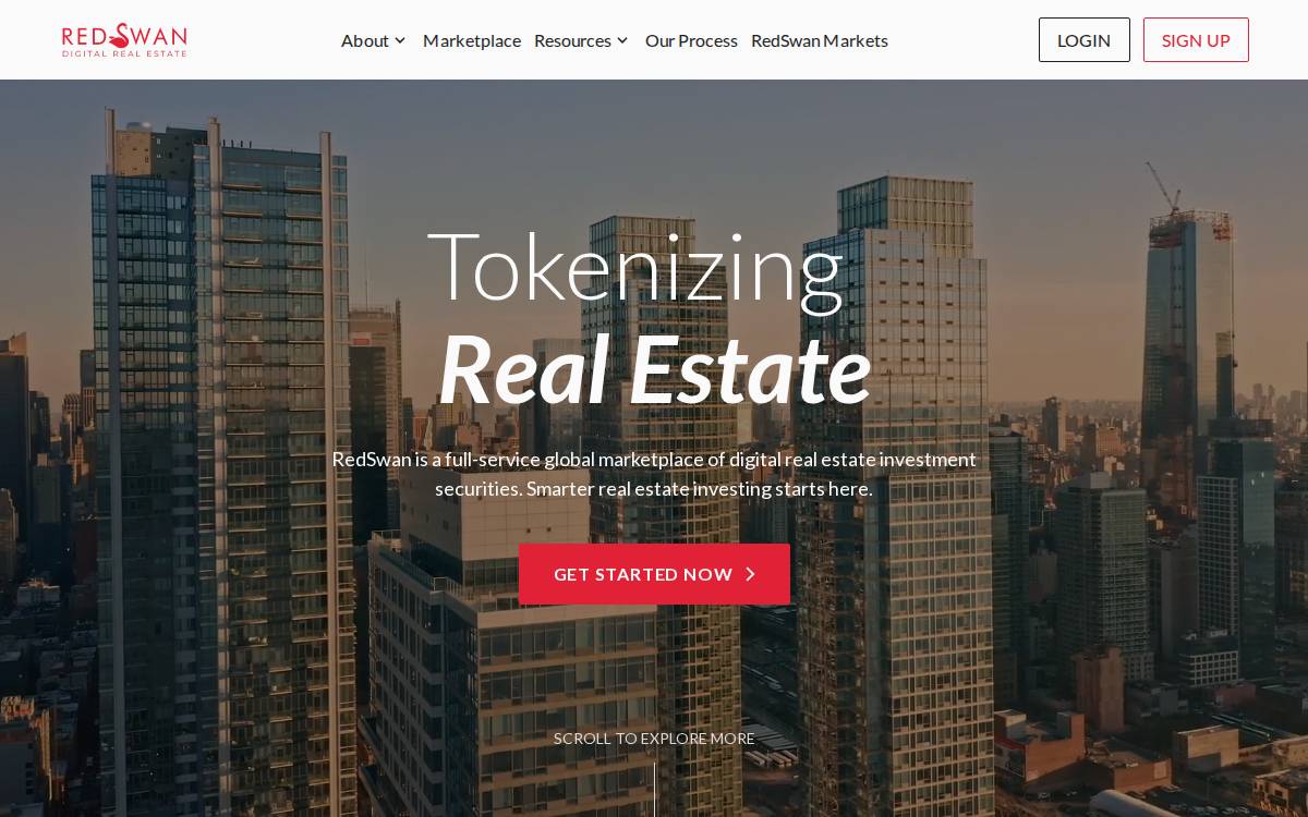 Redswan website preview