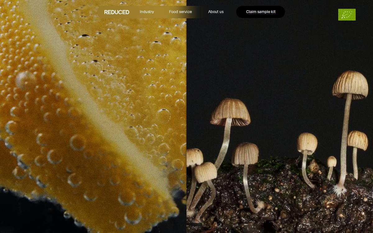 REDUCED website preview