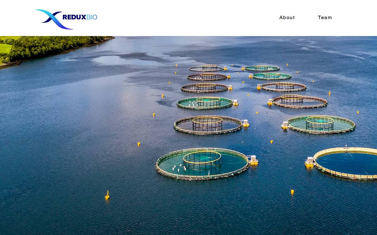 Reduxbio website preview