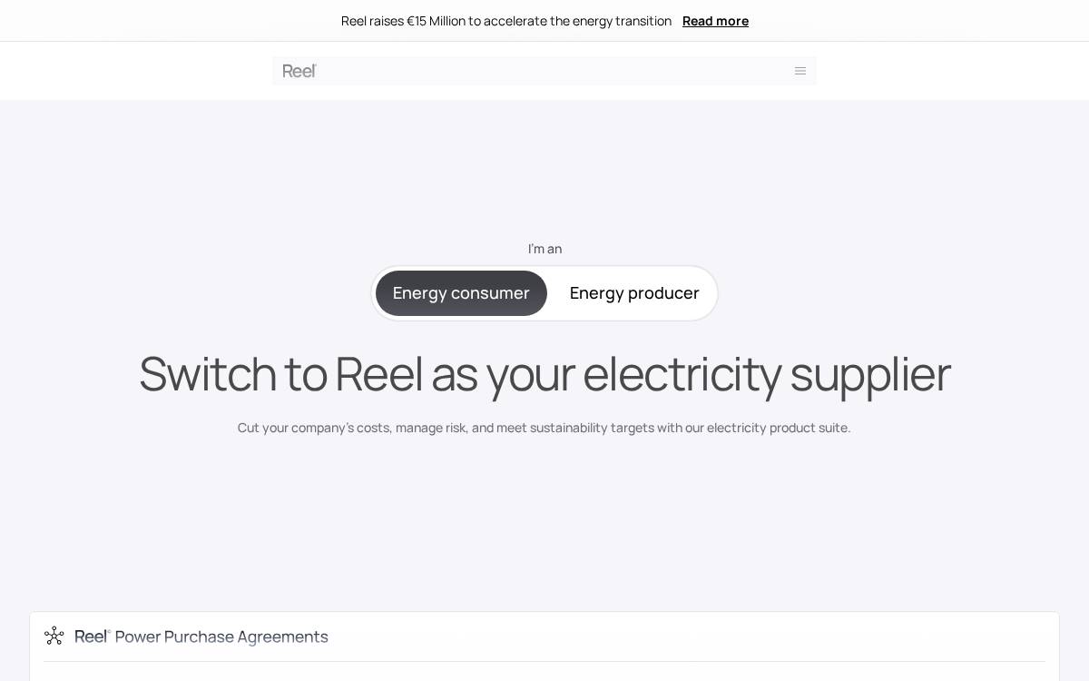 Reel Energy website preview