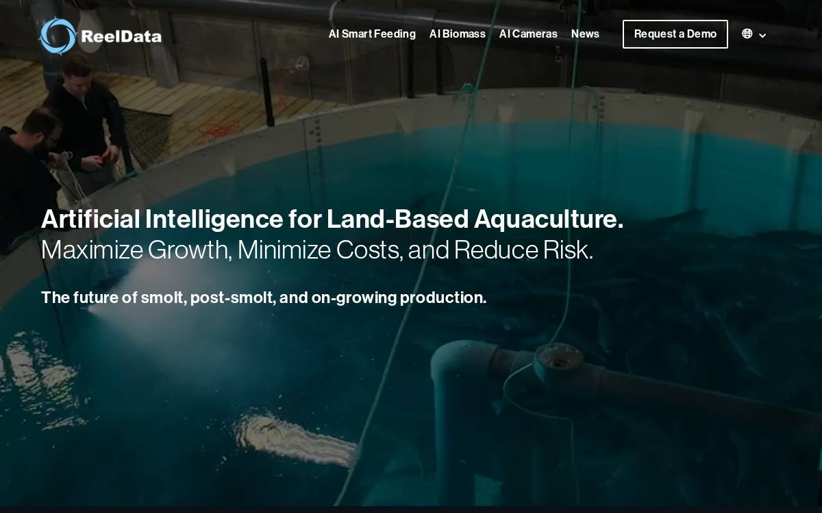 ReelData AI website preview