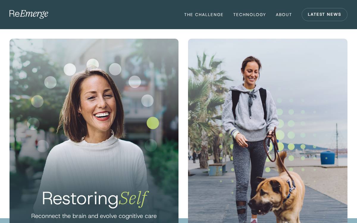 ReEmerge website preview