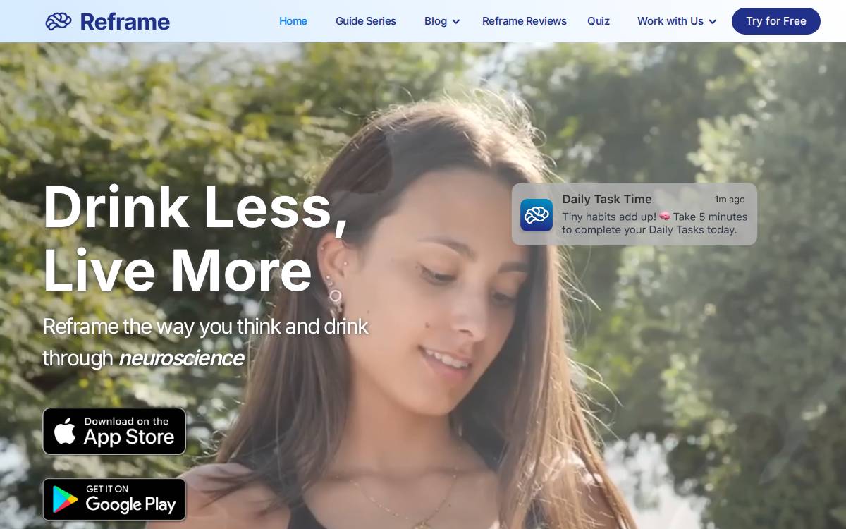 Reframe website preview