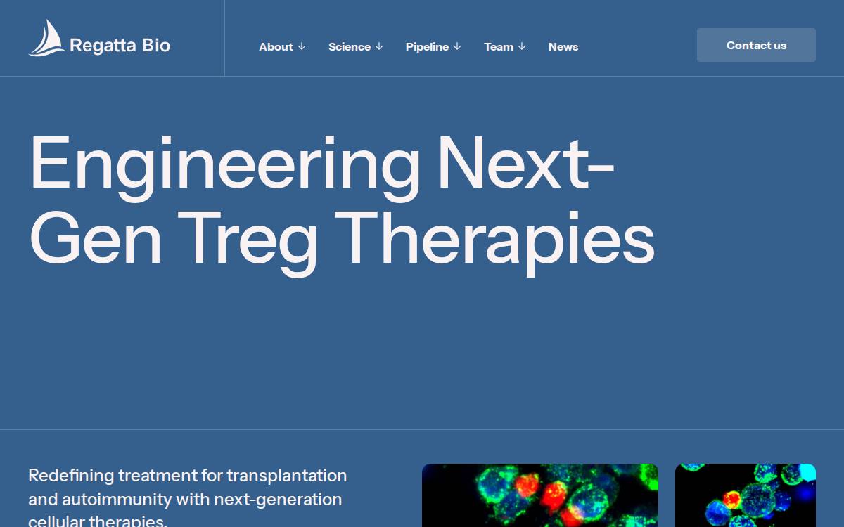 Regatta Bio website preview