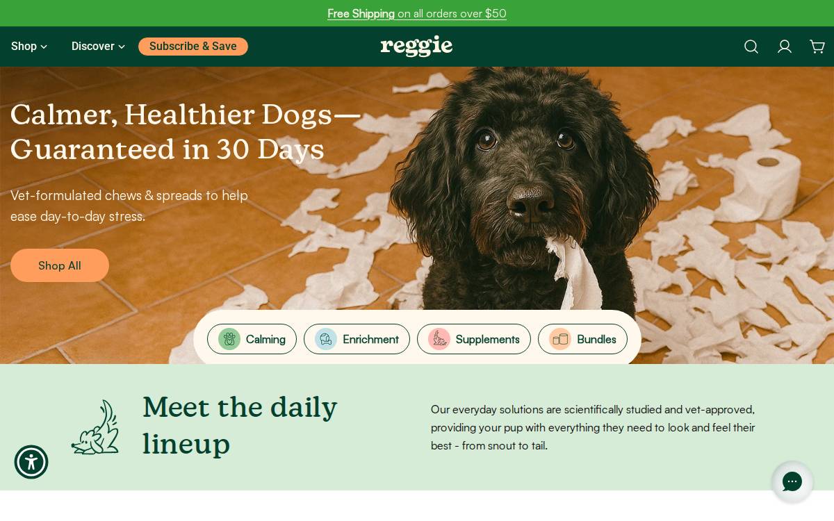 Reggie website preview