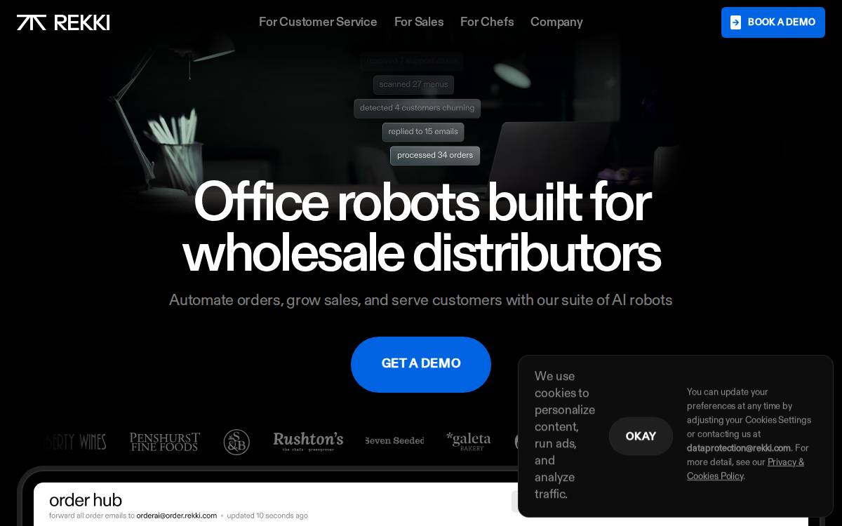 REKKI website preview