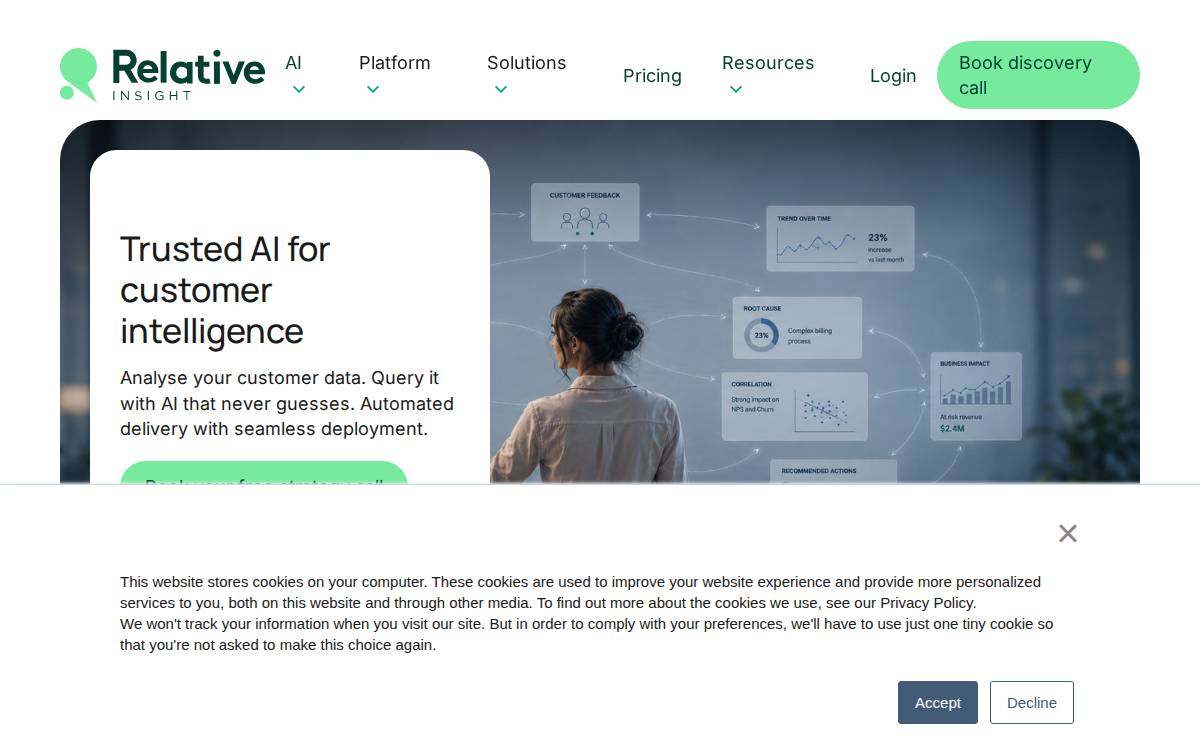 Relative Insight website preview