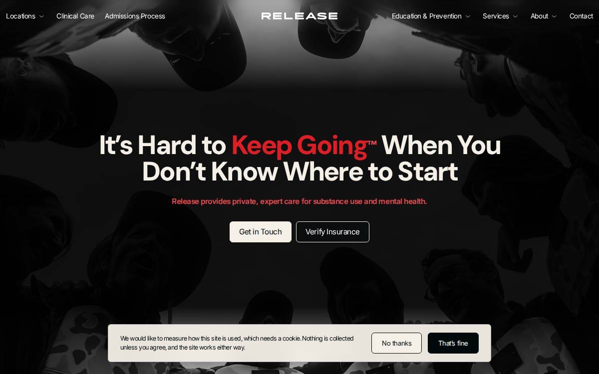 Releaserecovery website preview