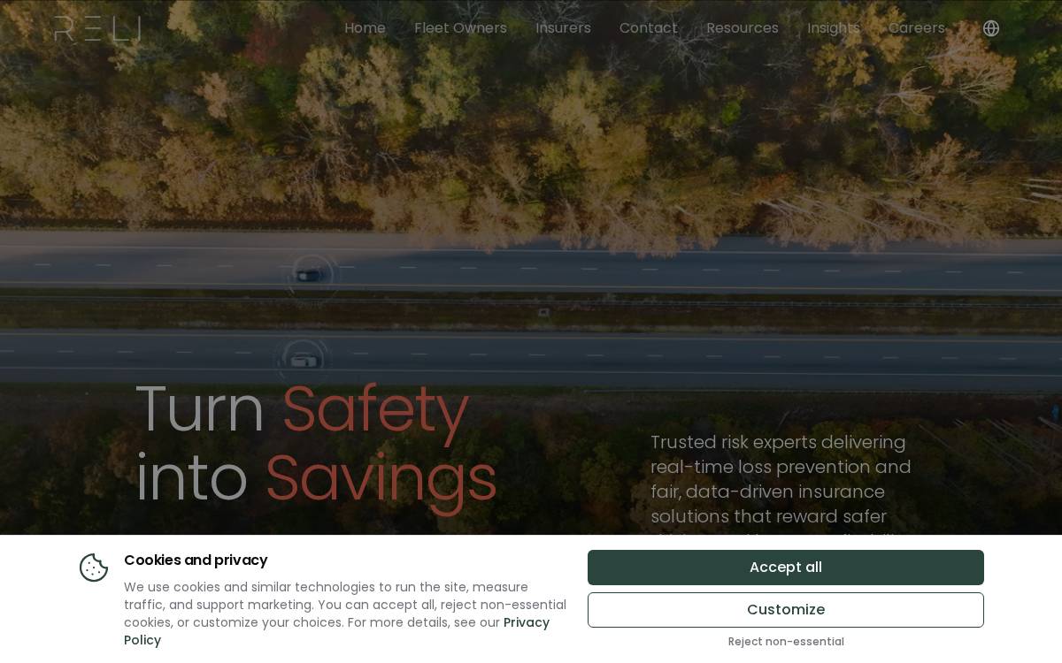 Reli Insurance website preview
