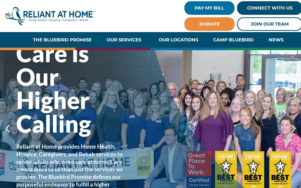 Reliant website preview