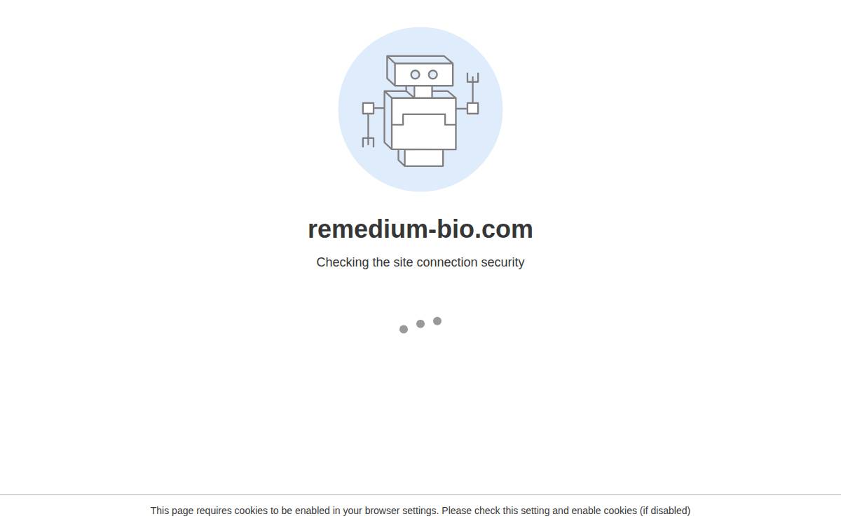 Remedium website preview