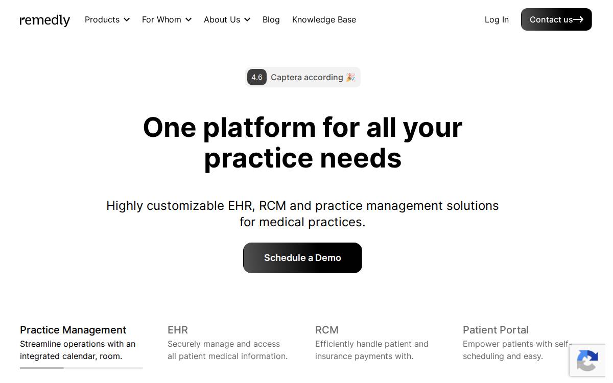 Remedly website preview