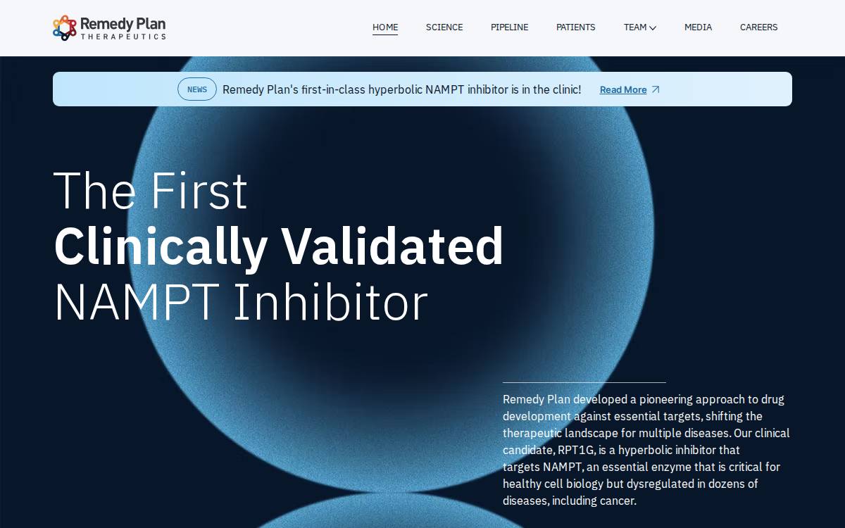 Remedy Plan website preview
