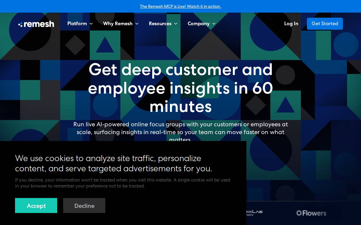 Remesh website preview