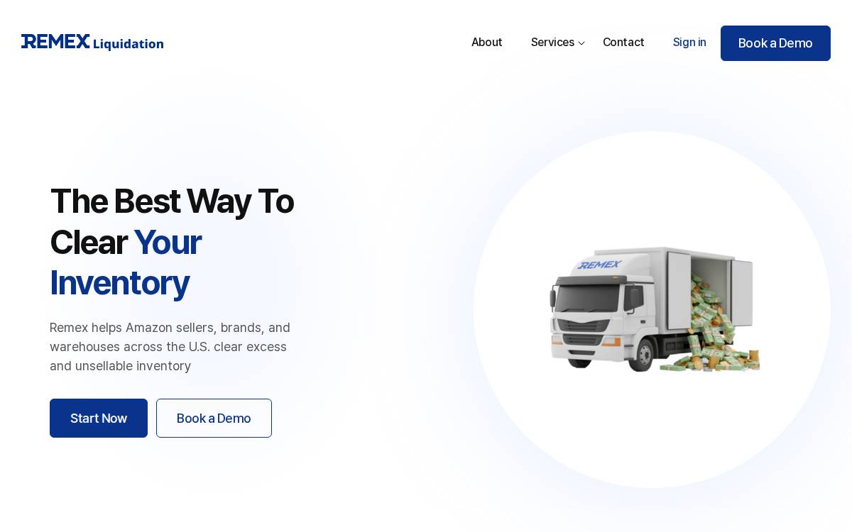 Remex website preview