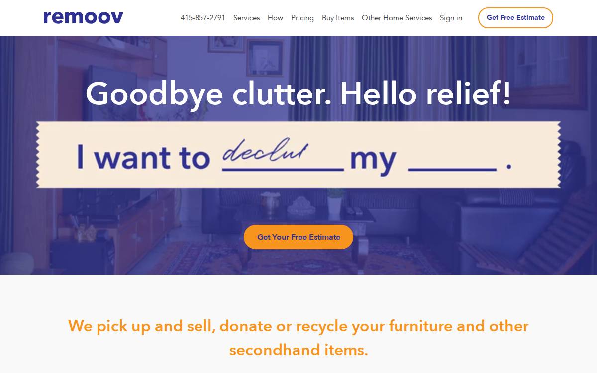 Remoov website preview