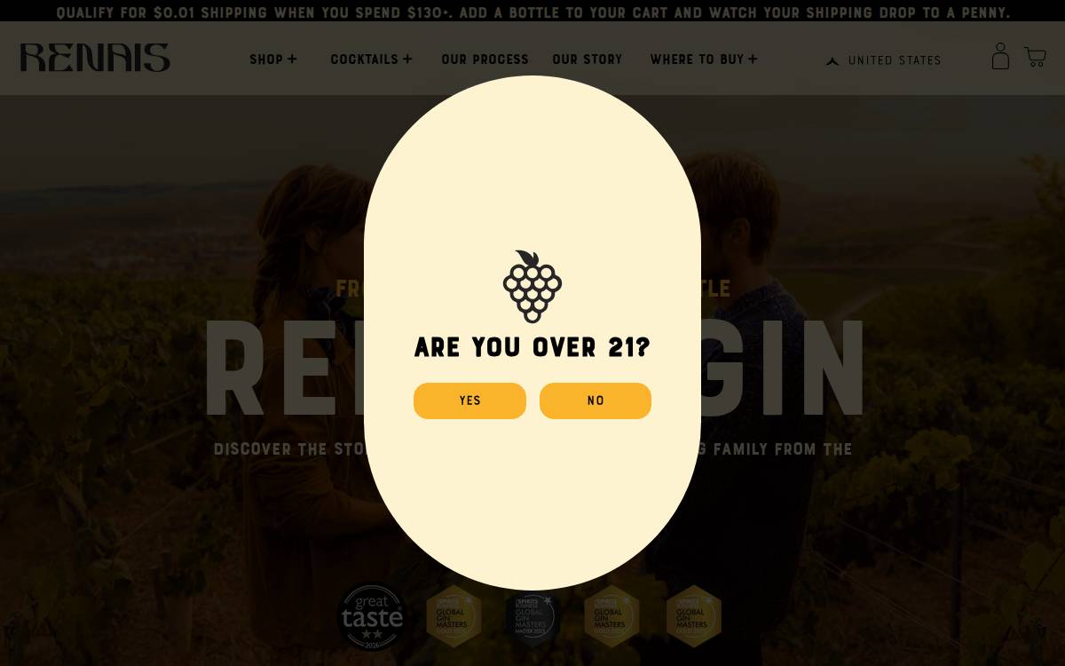 Renais website preview