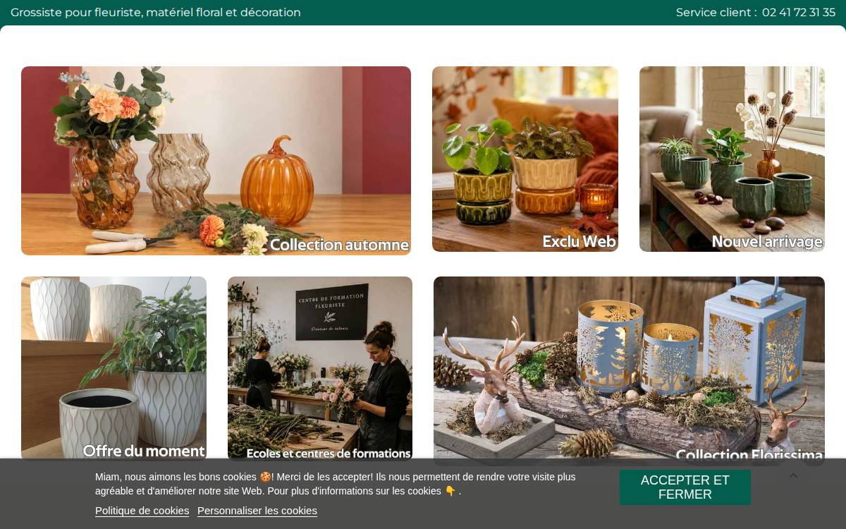Renaud Distribution website preview
