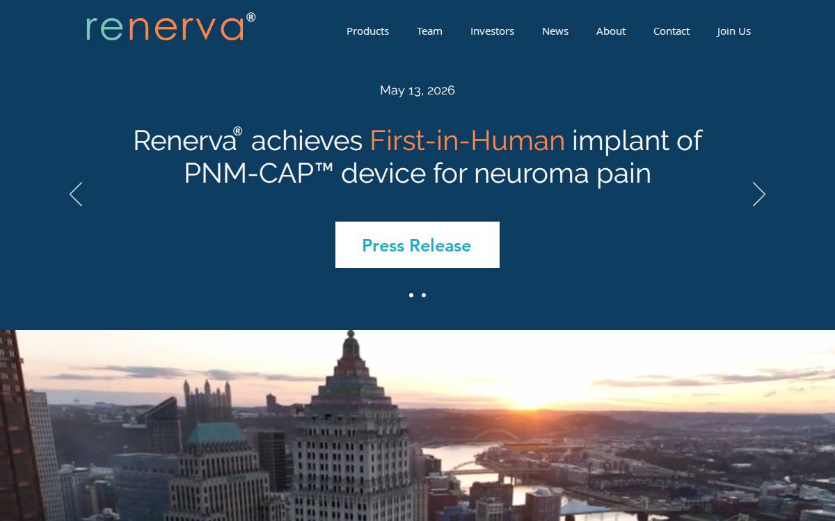 Renerva website preview