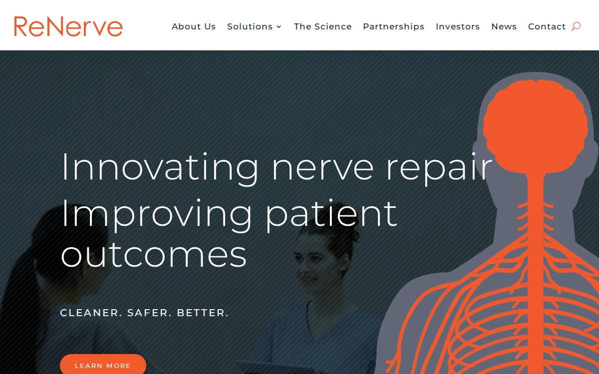 ReNerve website preview