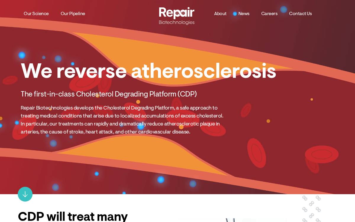 Repair Biotechnologies website preview