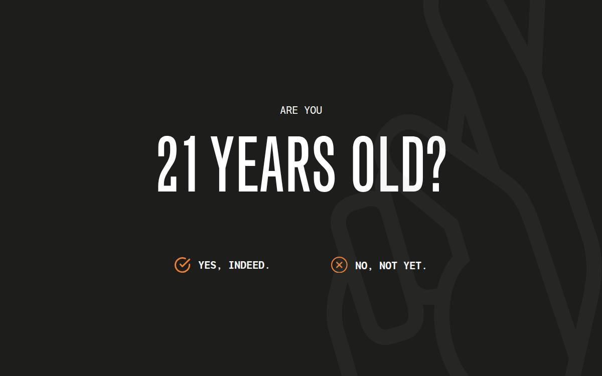 Republic Restoratives website preview