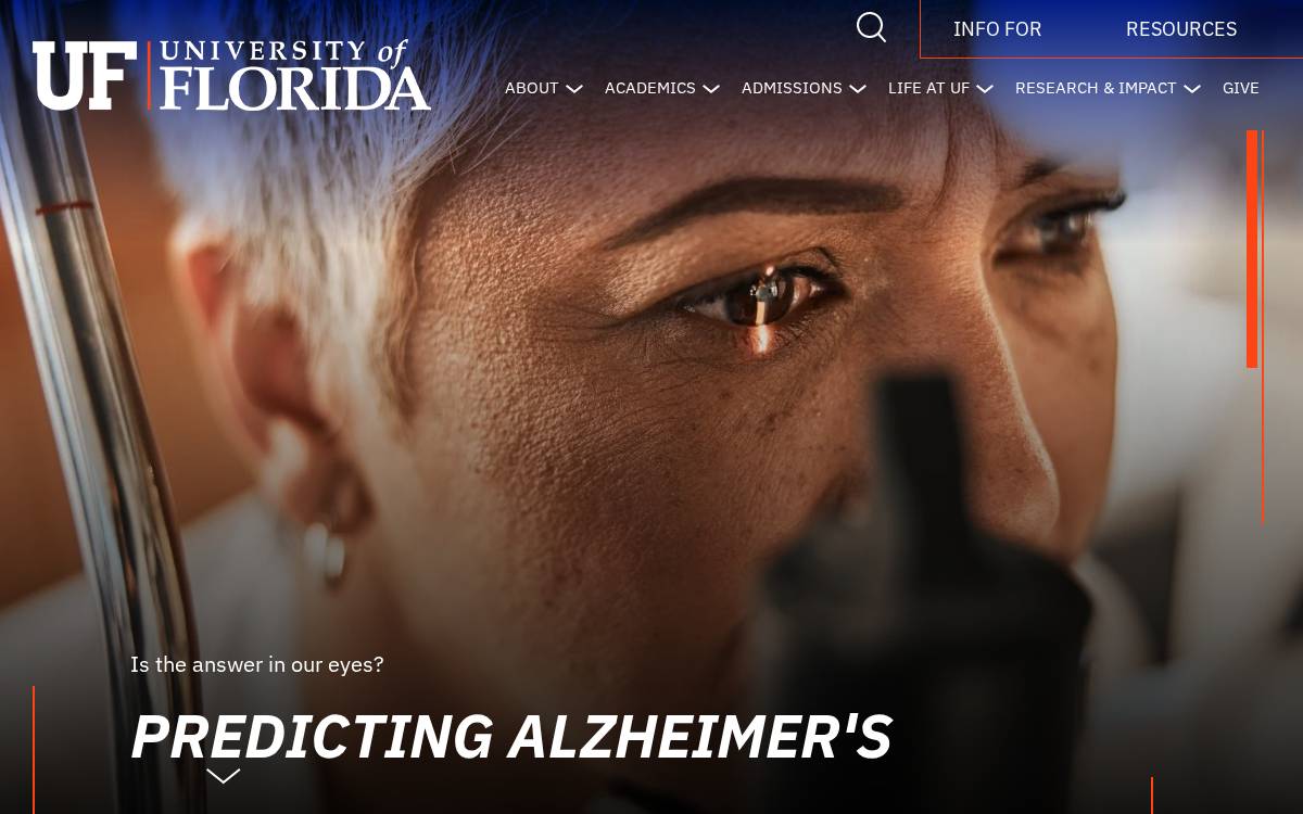Research by Professor Jay Ritter website preview