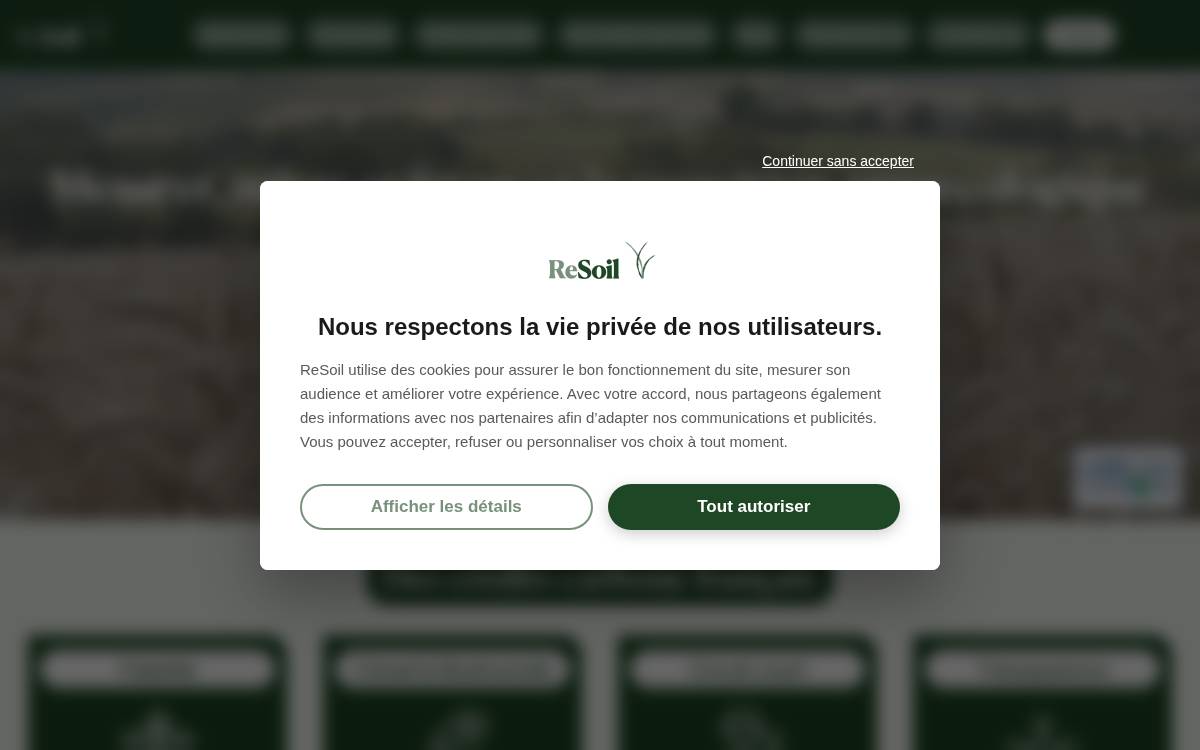 Resoilag website preview