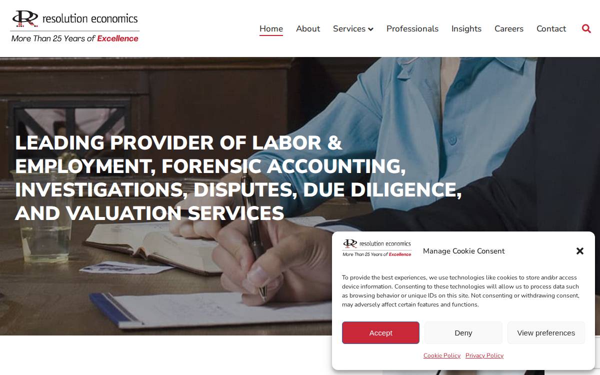 Resolution Economics Llc website preview