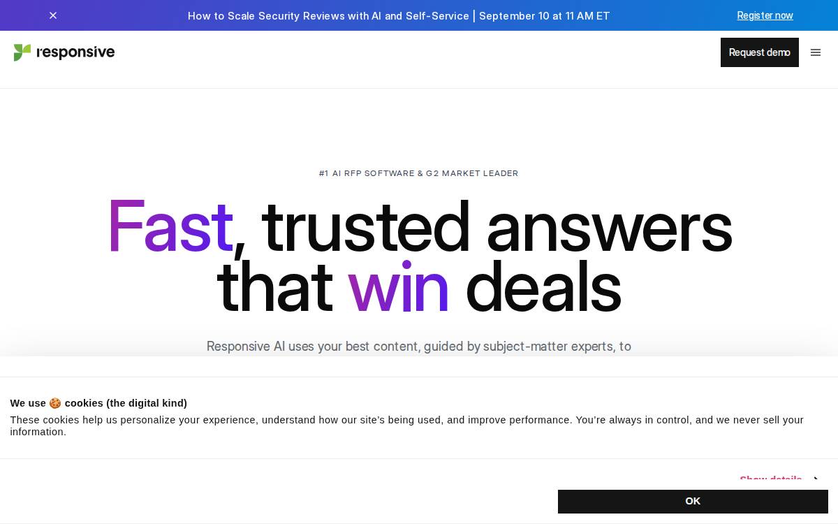 Responsive website preview