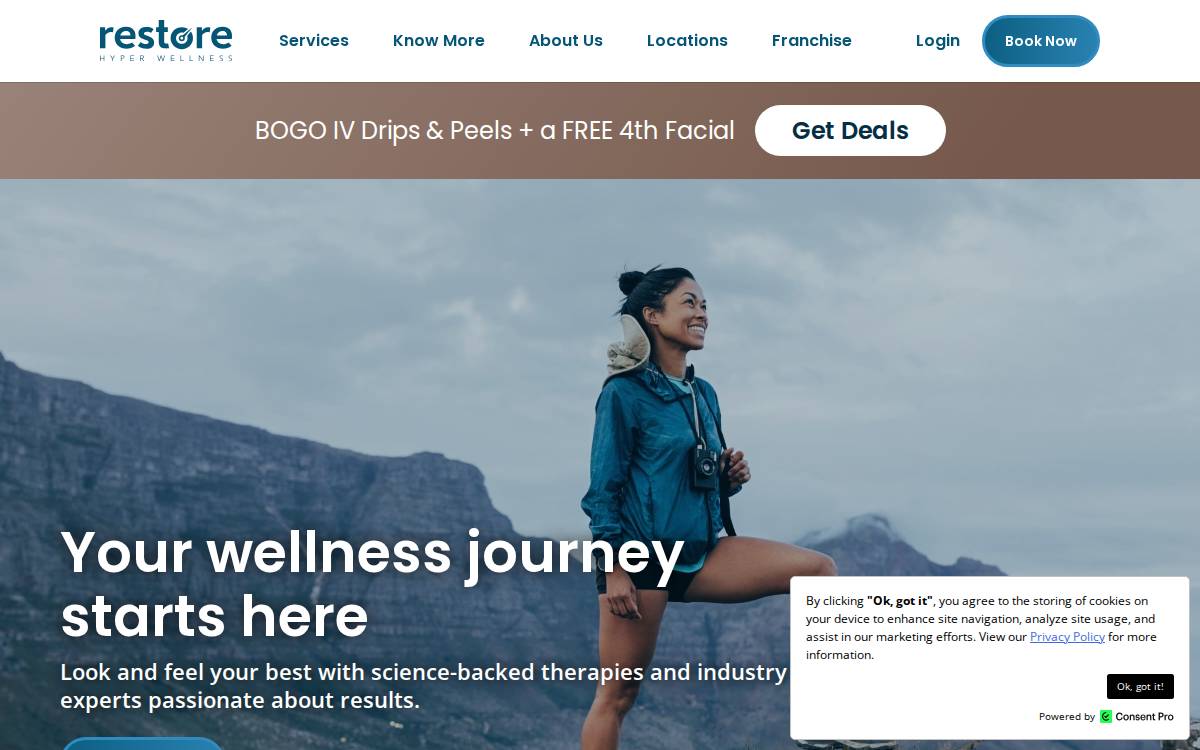 Restore website preview