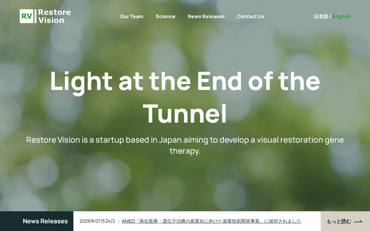 Restore Vision website preview